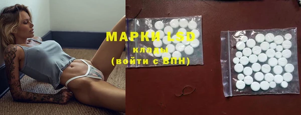 ПСИЛОЦИБИНОВЫЕ ГРИБЫ Алексин