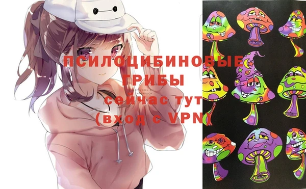 ПСИЛОЦИБИНОВЫЕ ГРИБЫ Алексин