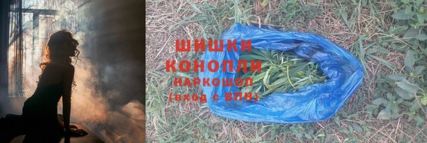 ПСИЛОЦИБИНОВЫЕ ГРИБЫ Алексин
