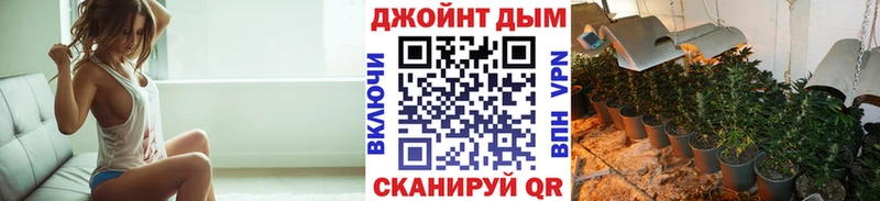 mega ссылки  Щигры  Каннабис сатива  сколько стоит 